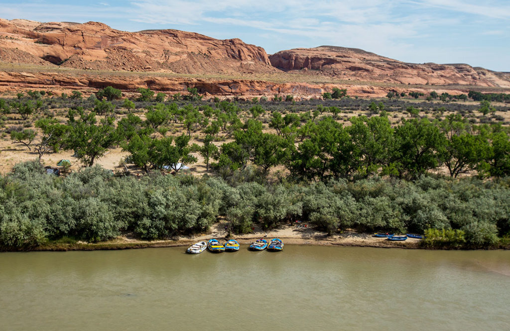 5 rafts tied up on a shoreline of the San Juan River with trees and rocks in the background under a blue sky while Floating the San Juan River Rafting trip