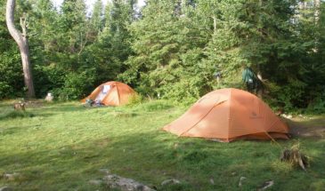 Two tents at a campsite nestled under trees in the Boundary Waters Canoe Area