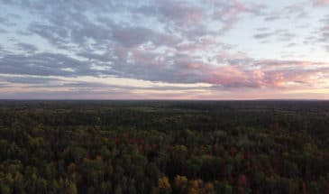 Clear Skyview from Boundary Waters Canoe Area
