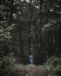 MIndfulness Forest Bathing