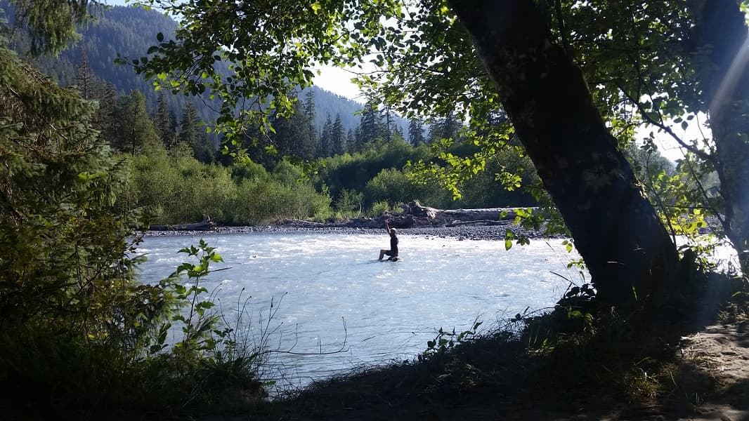 Hoh Rainforest