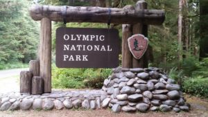 The U.S. has a Rainforest Welcome to the Hoh Rainforest in Olympic National Park