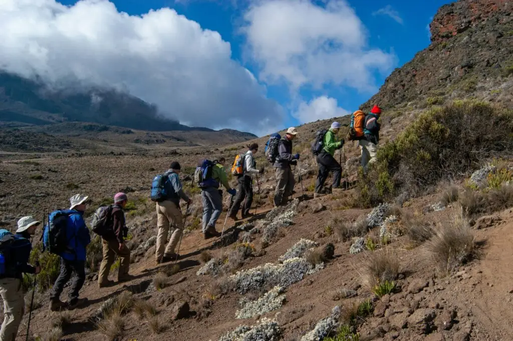 A group of hikers walking up Mt Kilimanjaro with sand and bushes around their feet and blue sky above.